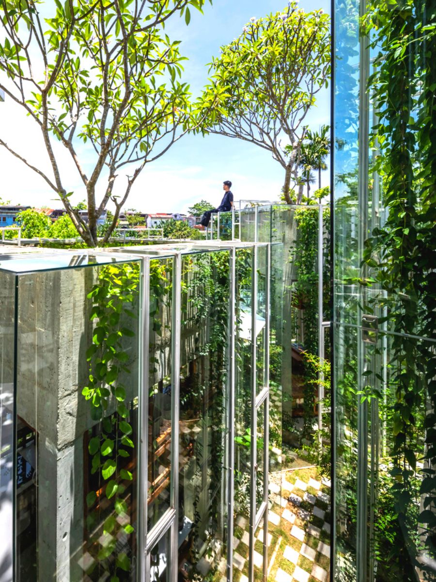 Greenery and glass detail at Labri House