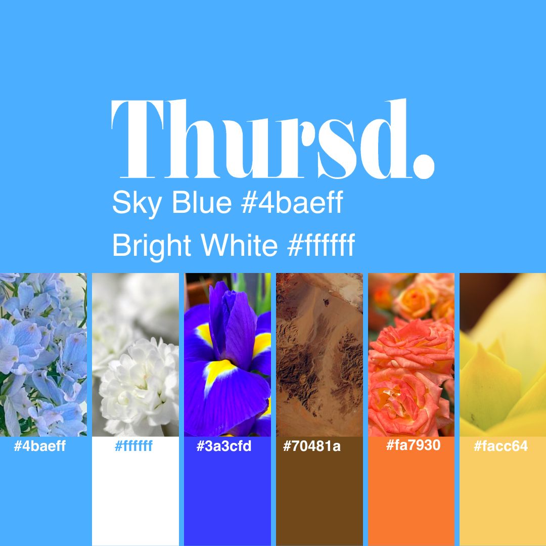 Thursd Floral Trend Color 2024 Sky's Palette