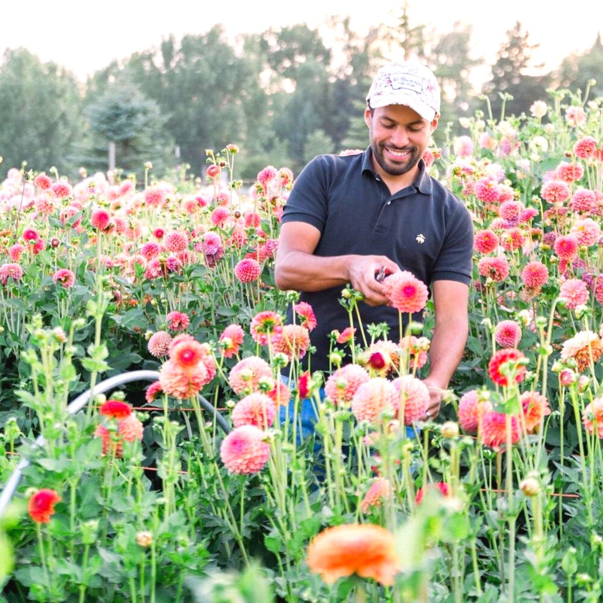 The Flower Hat in his own dahlia field