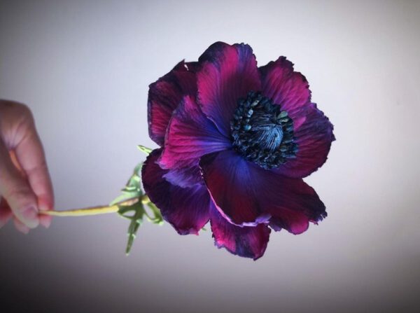 Ultra Realistic Sugar Flowers That You Can Hardly Distinguish From the Real Thing by Michelle Nguyen Anemone on Thursd