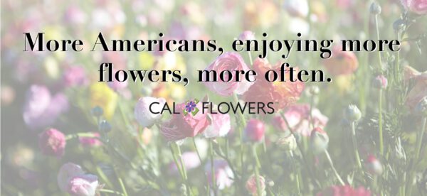 Flowers the california way -banner - calflowers on thursd