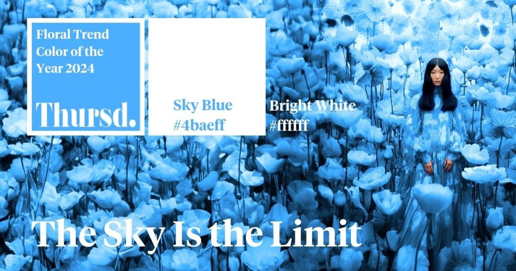 Thursd Floral Trend Color Of The Year 2024 Sky Blue And Bright White   Sky Blue  4baeff   Bright White  Ffffff The Sky Is The Limit (7)   Media Library Original 1003 527 