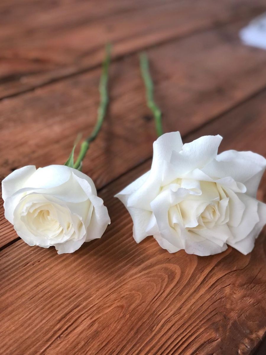 White Roses for Thursd Floral Trend Color 2024