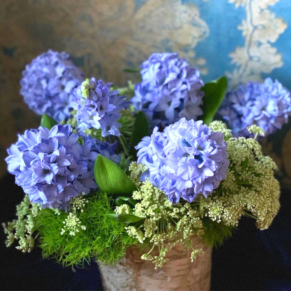 Sky blue hyacinths in arrangement