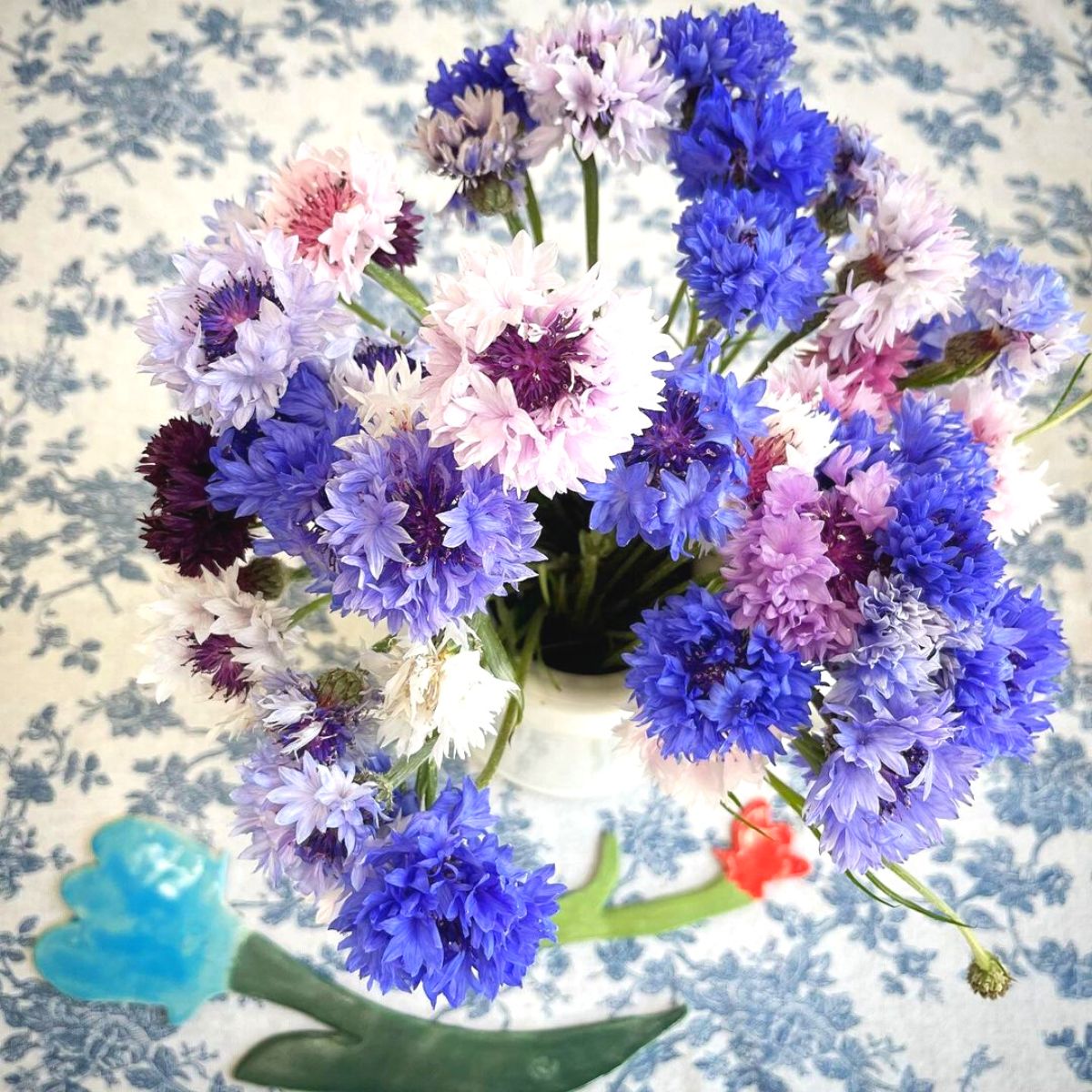 Cornflowers in different shades of blue