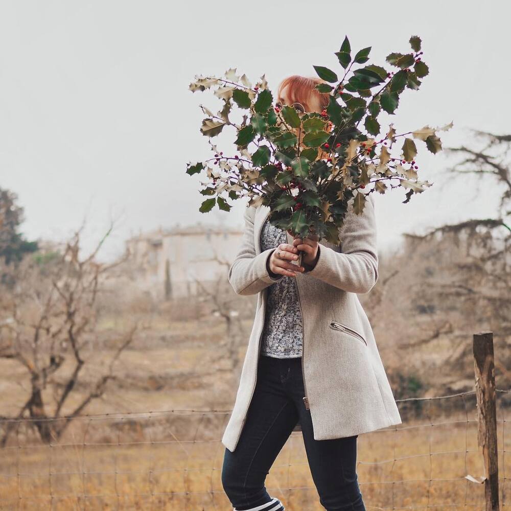 Holly berry in hands