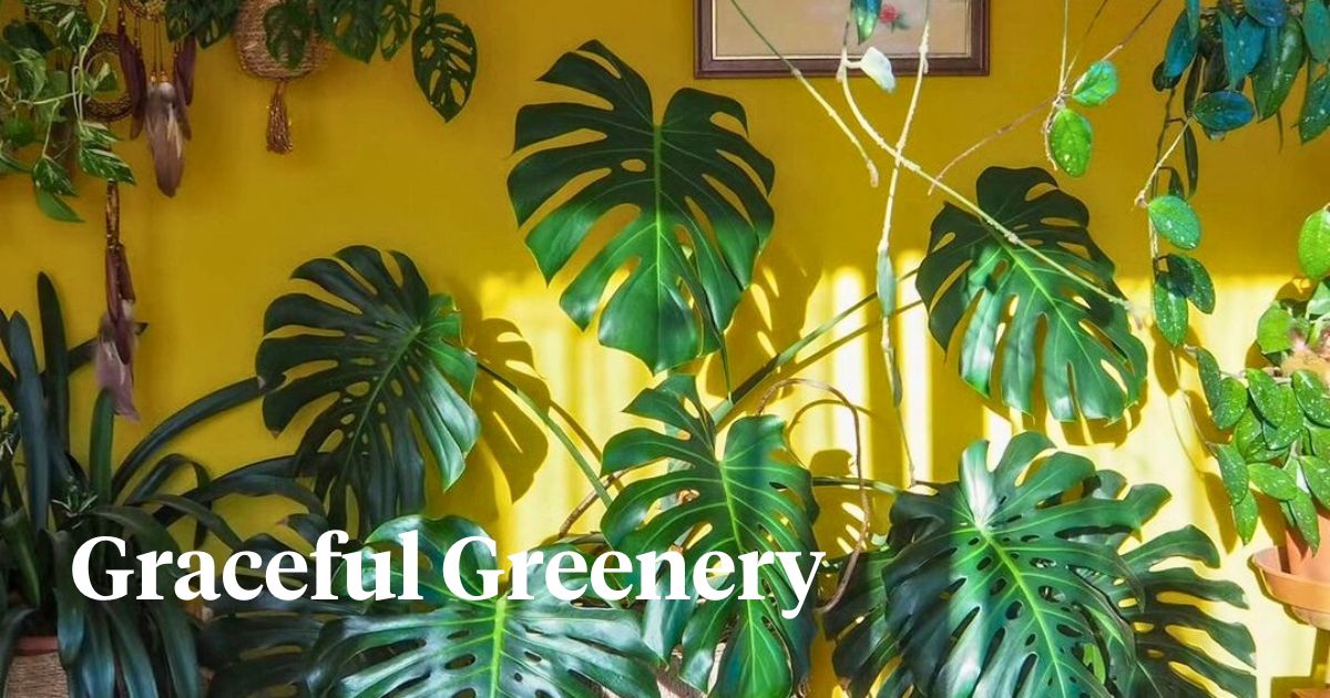 6 Tropical Plants to Get the Jungle Look at Home