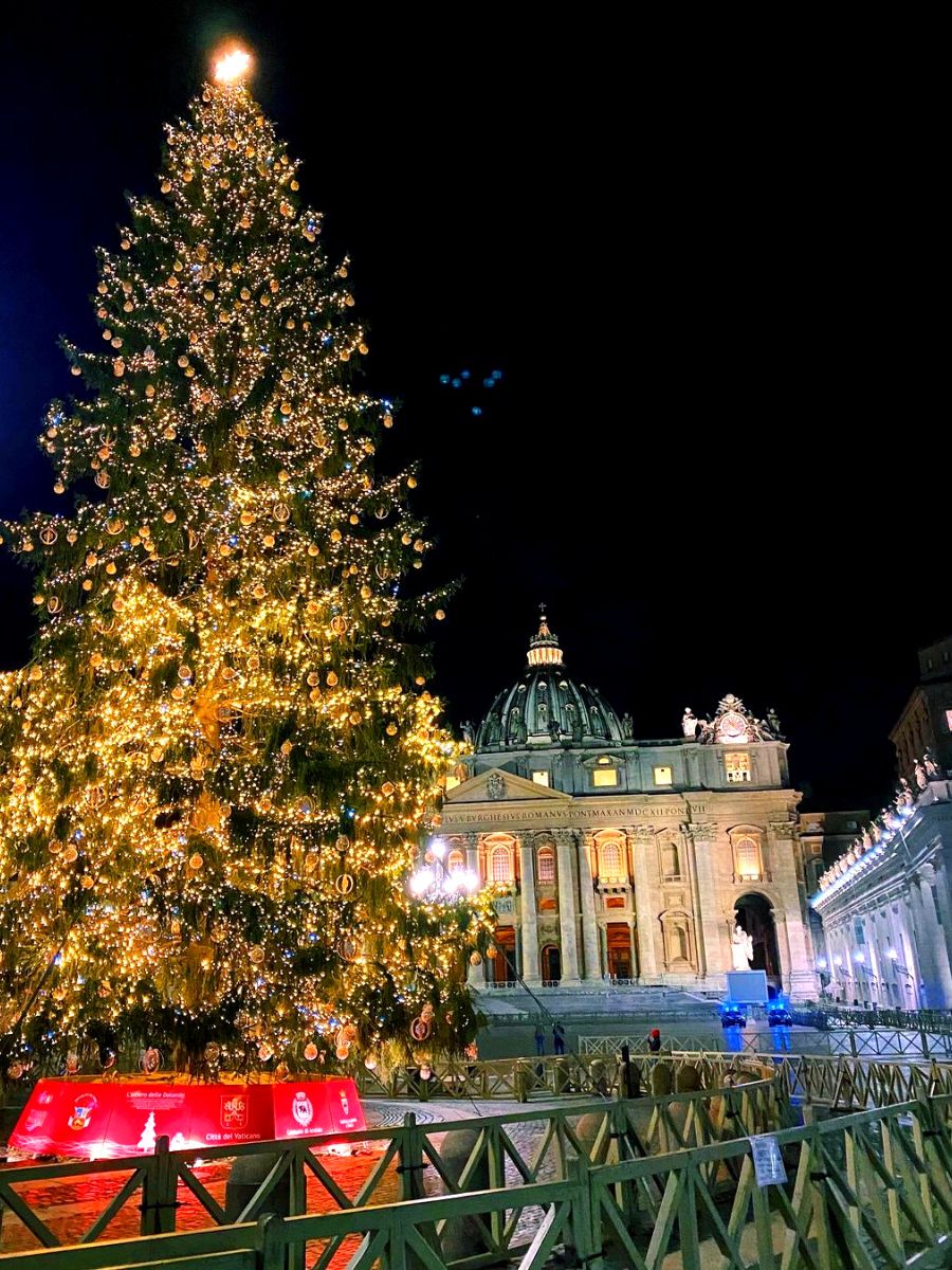 Vatican City Christmas Tree lit up