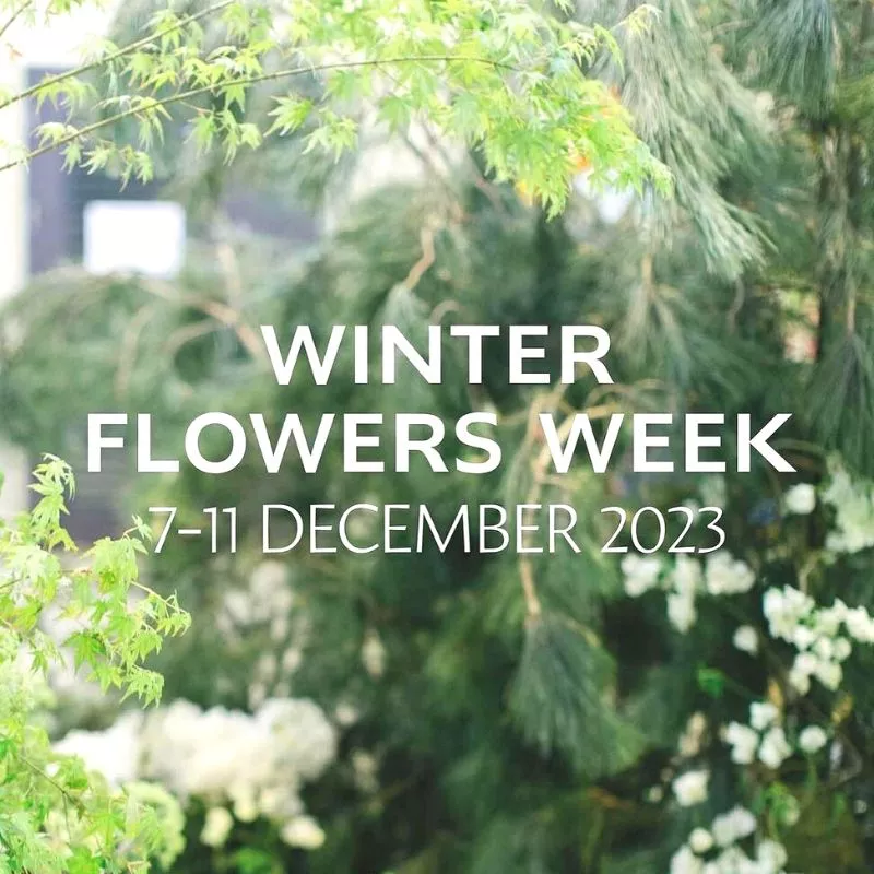 Winter Flowers Week