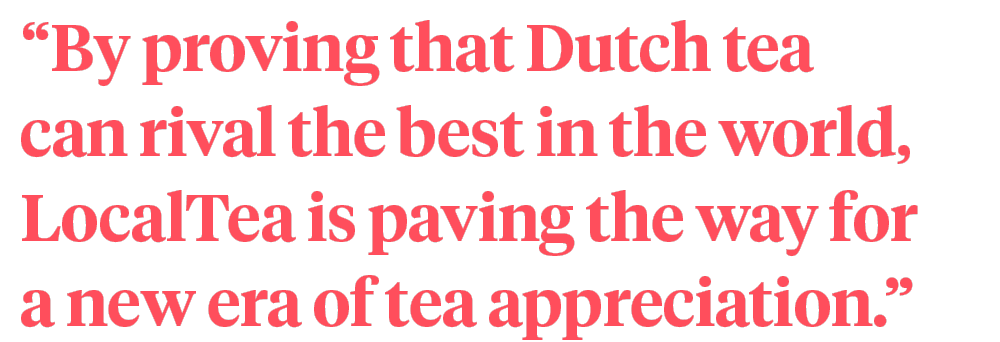 LocalTea Dutch tea
