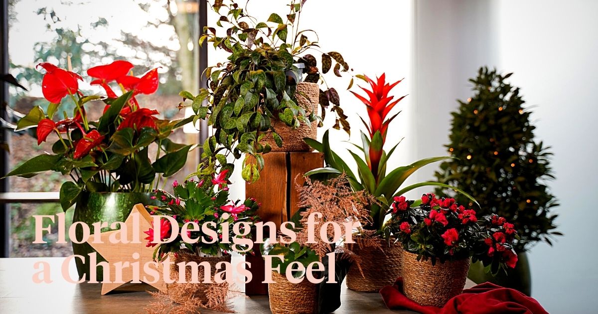 Floral designs and arrangements that capture the true essence of Christmas festivities.
