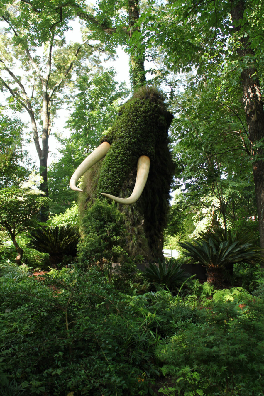 Incredible Botanical Sculptures at the Atlanta Botanical Garden Mammoth Living Sculpture