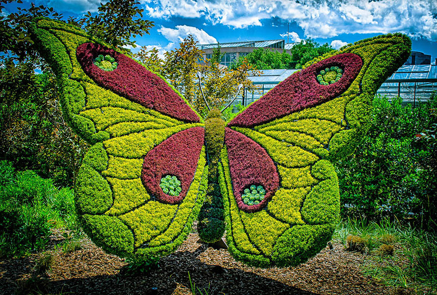 Incredible Botanical Sculptures at the Atlanta Botanical Garden Butterfly Plant Sculpture