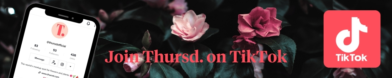 Thursd TikTok Banner Join Thursd on TikTok