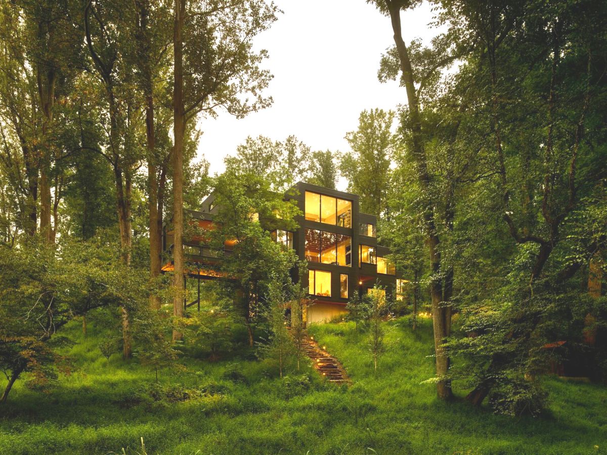 Outside view of the Virginia Treehouse surrounded by nature