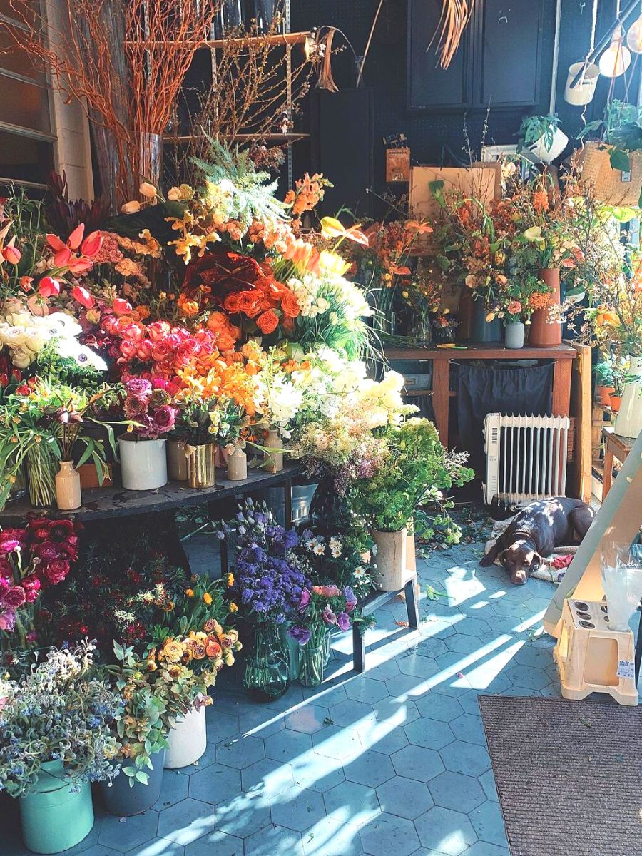 Inside view of flowers at That Flower Shop