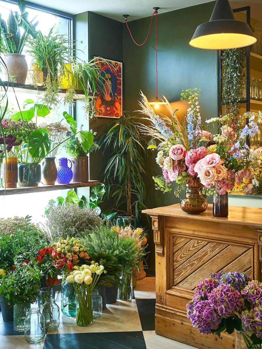Plants and flowers at Grace and Thorn