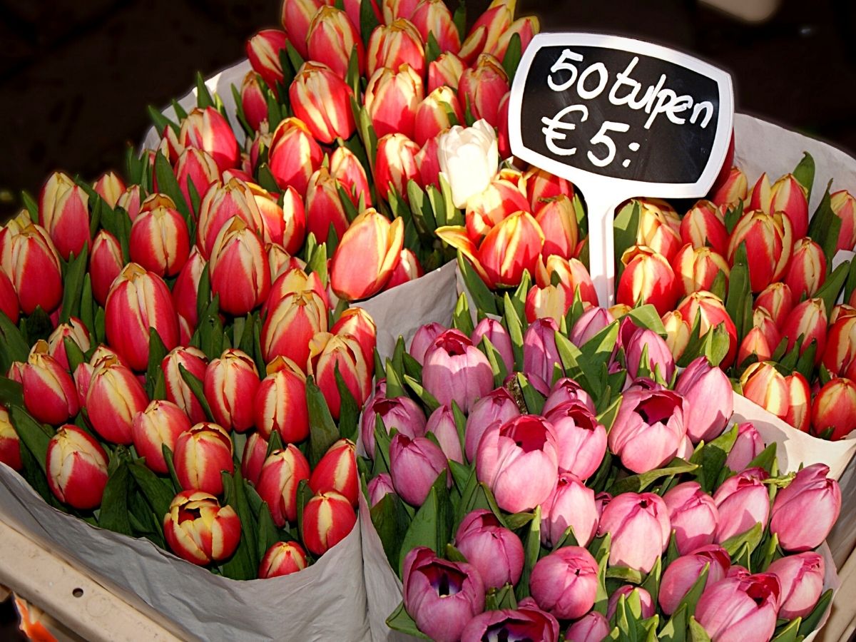 ​Charm and Prestige Pricing in Retail Flower Business