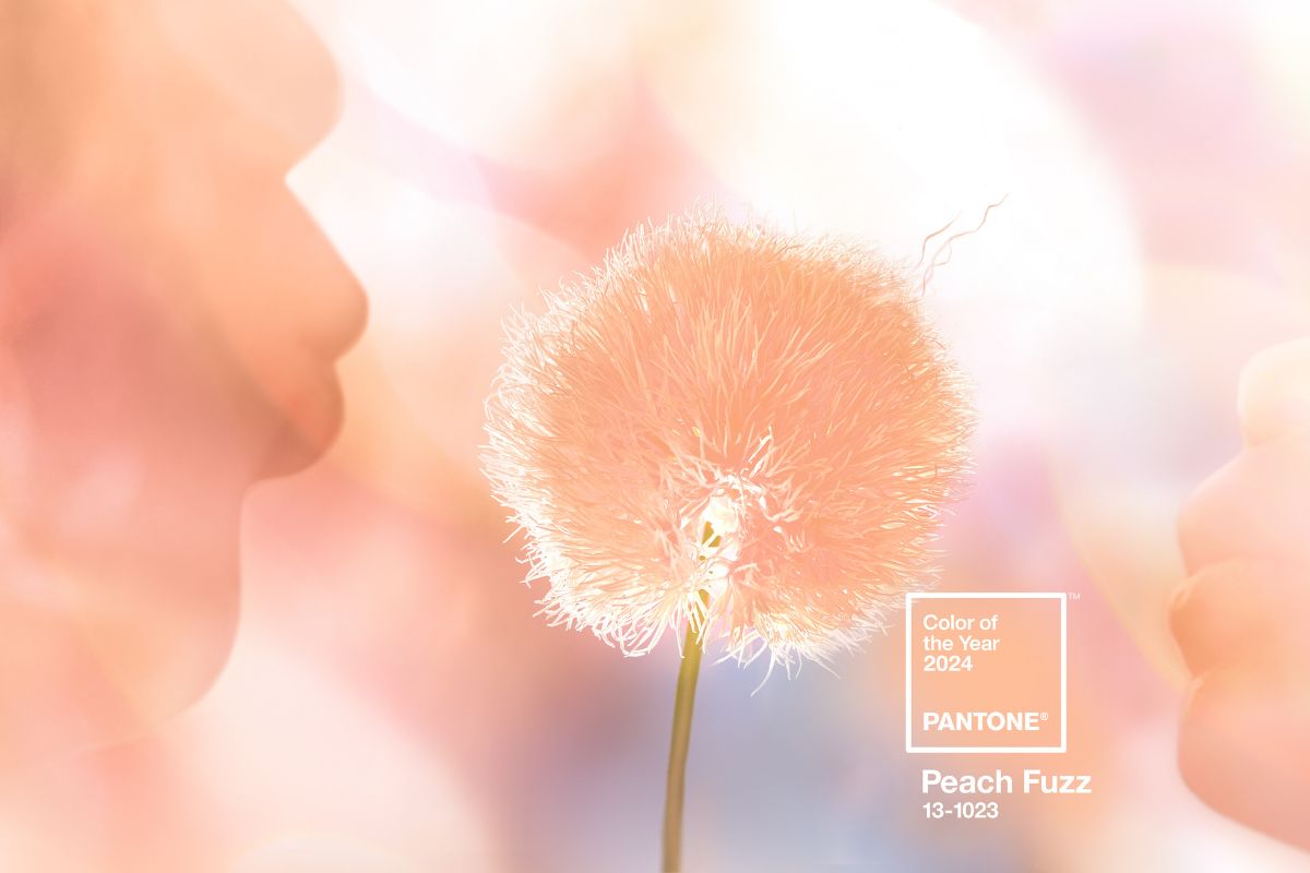Brand Image Pantone® Color of the Year 2024 Peach Fuzz