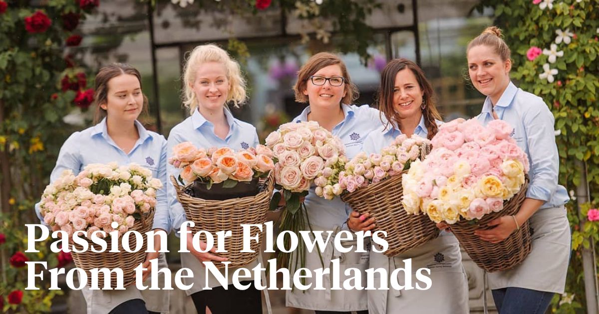 Natalia Hoogenraad florist special header