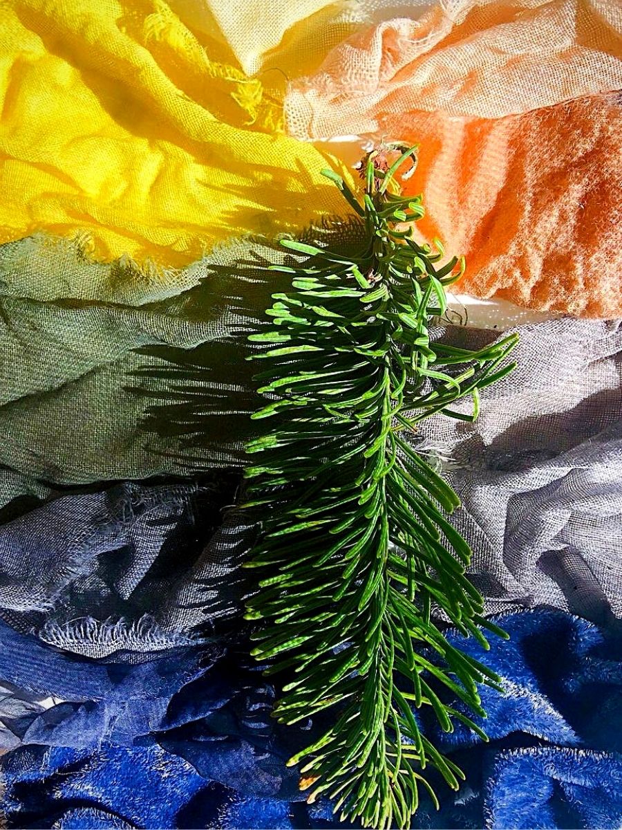 Sasha Duerr Brings Out the Rich Colors of Natural Sustainable Dyes