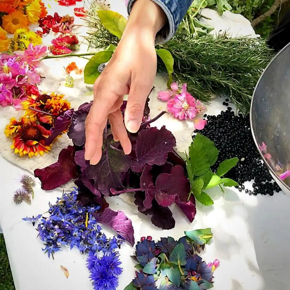 Textile color from sustainable nature-based dyes