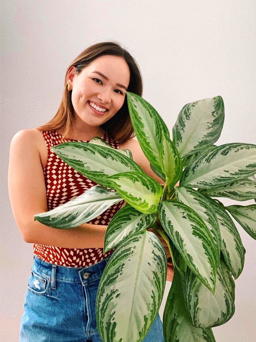 A happy owner with her Chinese Evergreen plant