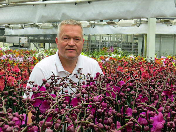 The Unique, Innovative Phalaenopsis from VG Orchids - André van Geest