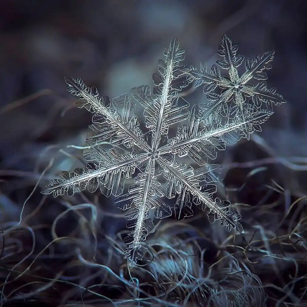 The Snowflake Photography of Alexey Kljatov