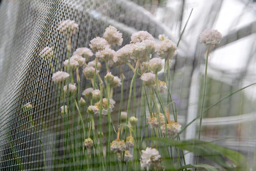 Mary Mattingly's Watershed Core Filters Rainwater in New York Water Installation