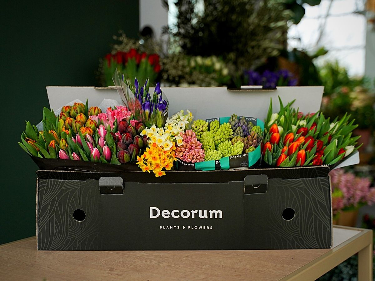 Decorum's DIY Box for Tulips and Other Spring Flowers