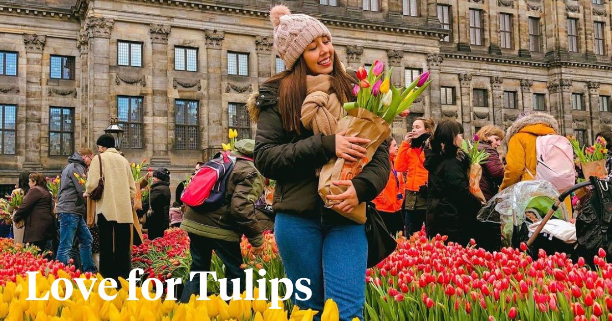 Love for tulips