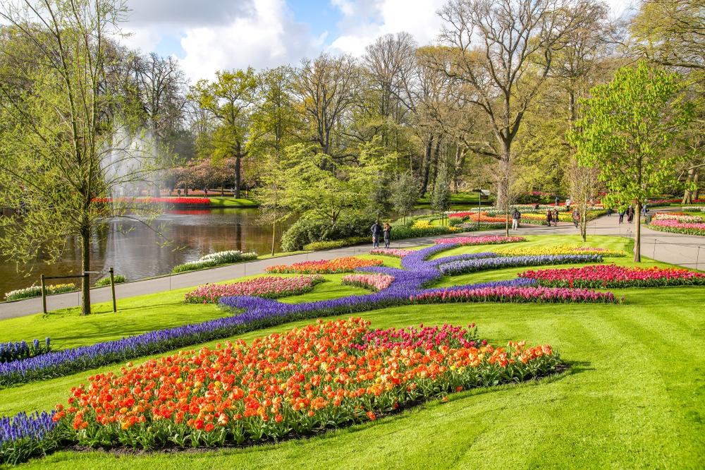 The World's Best Flower and Plant Fairs and Festivals You Definitel