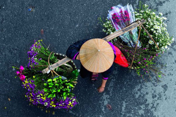 Flower Merchants in Motion feature