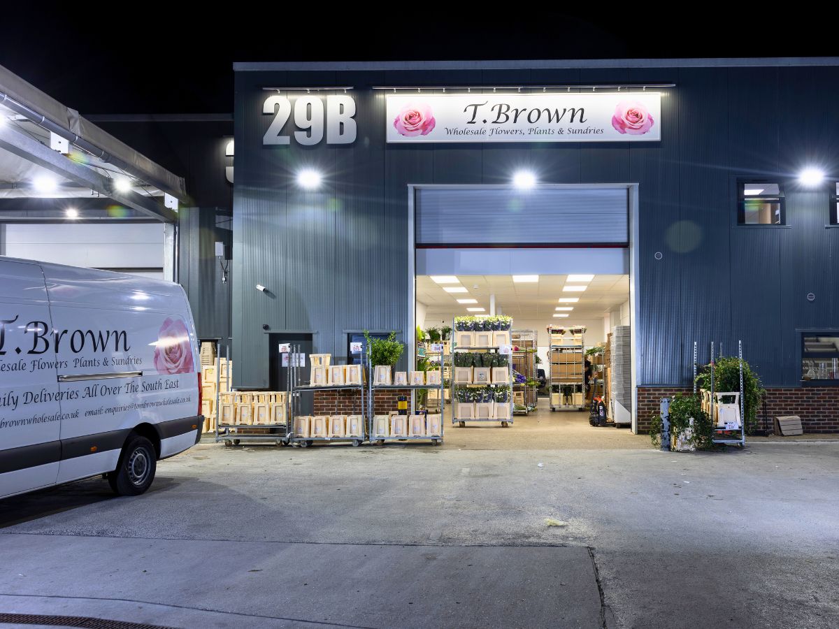 Tom Brown Wholesale