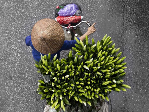 Flower Merchants in Motion