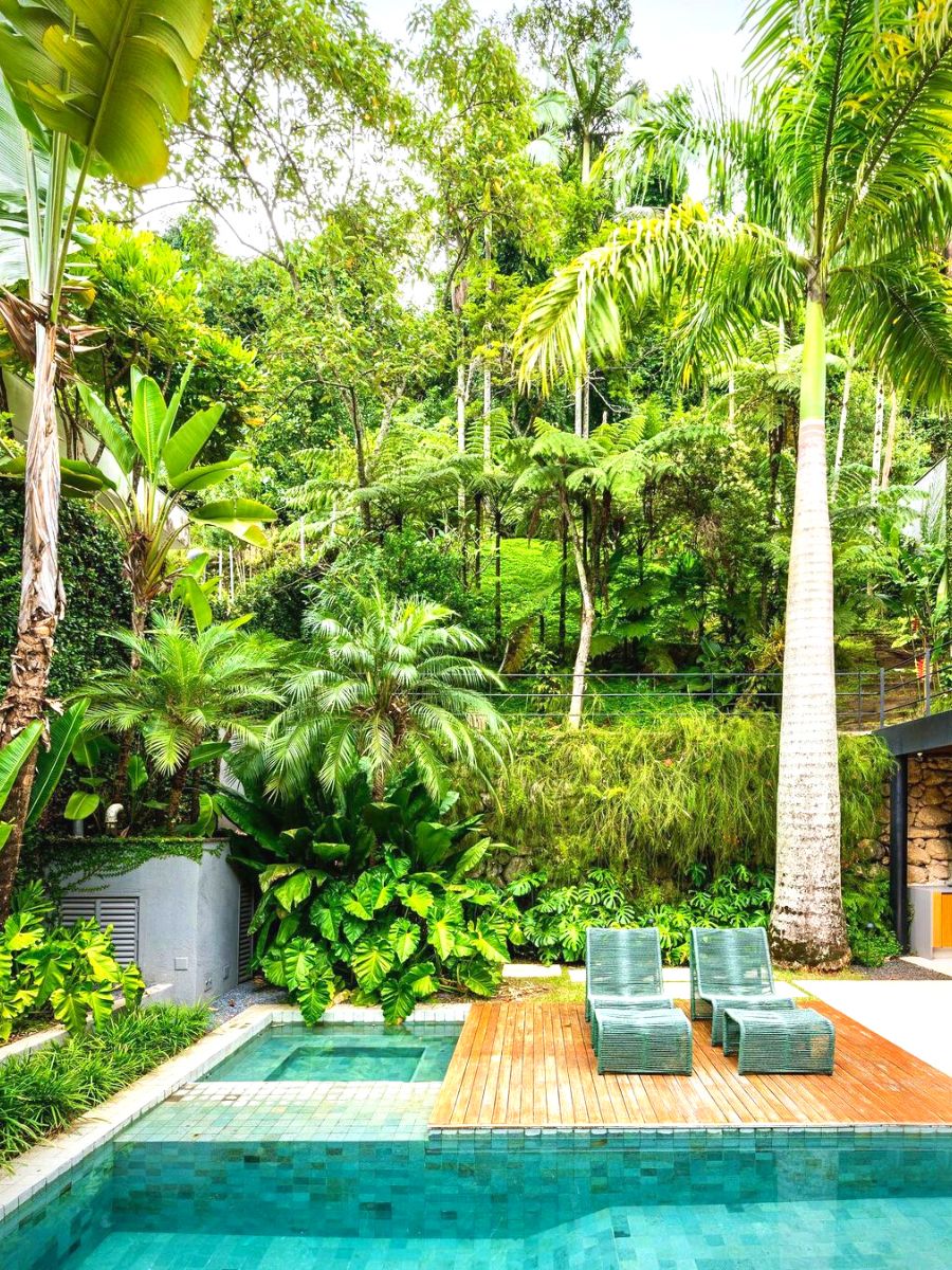 A garden with only tropical plants to give it a vibe
