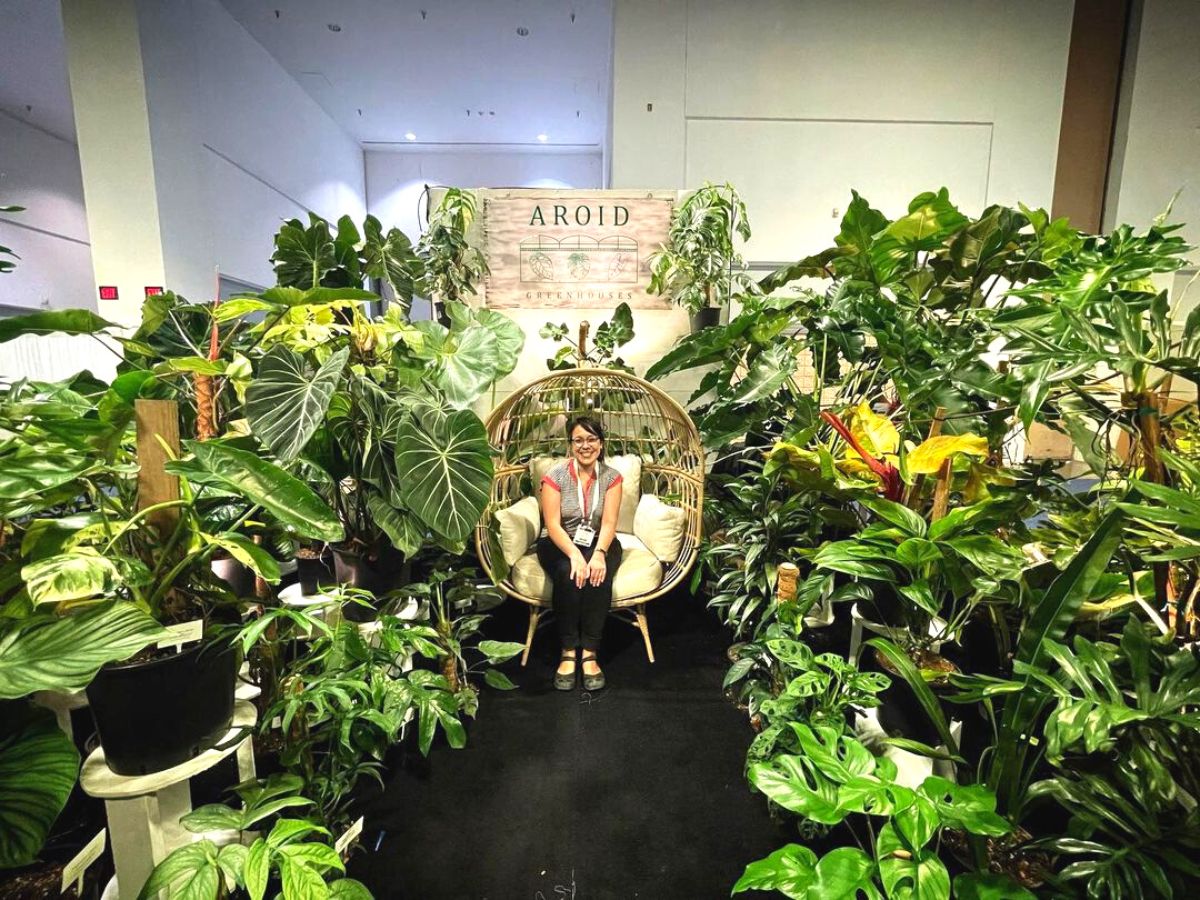 Aroid stand at the Tropical Plant International Expo