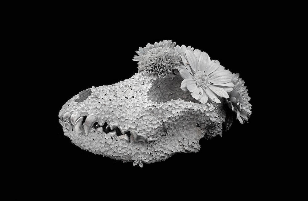 Kengo Takahashi Uses Aluminum Flowers to Create Metal Skulls Metal Sculpture
