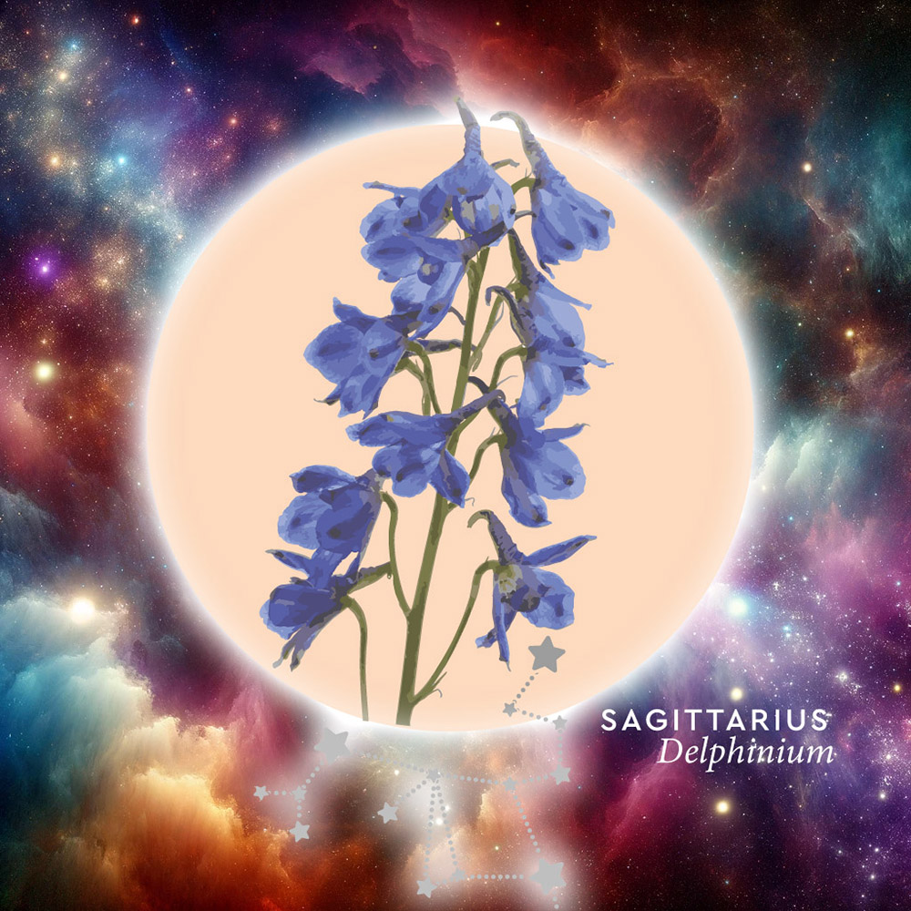 Marginpar Floroscope Sagittarius