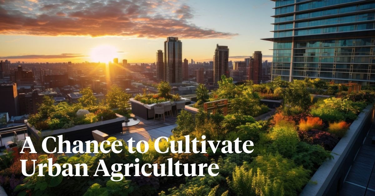 Best Plants For Rooftop Gardens Article onThursd