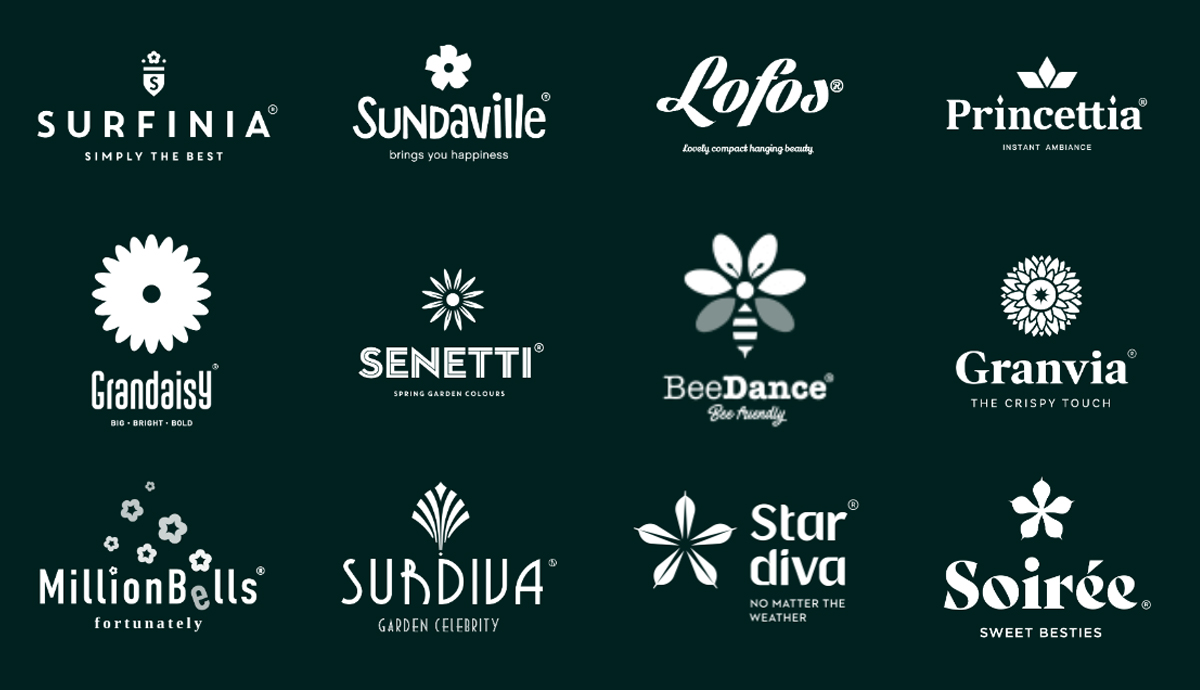 MNP Suntory Brands 2024