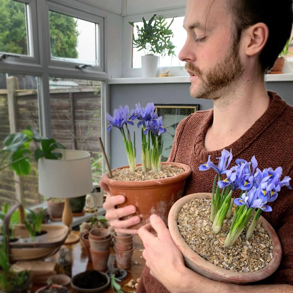 Men love toward Iris flower