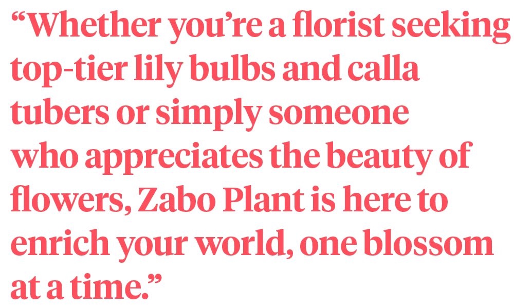 Zabo Plant introduction quote