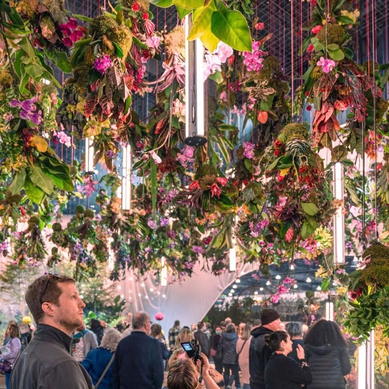 Hanging flower display at the Philadelphia Flower Show