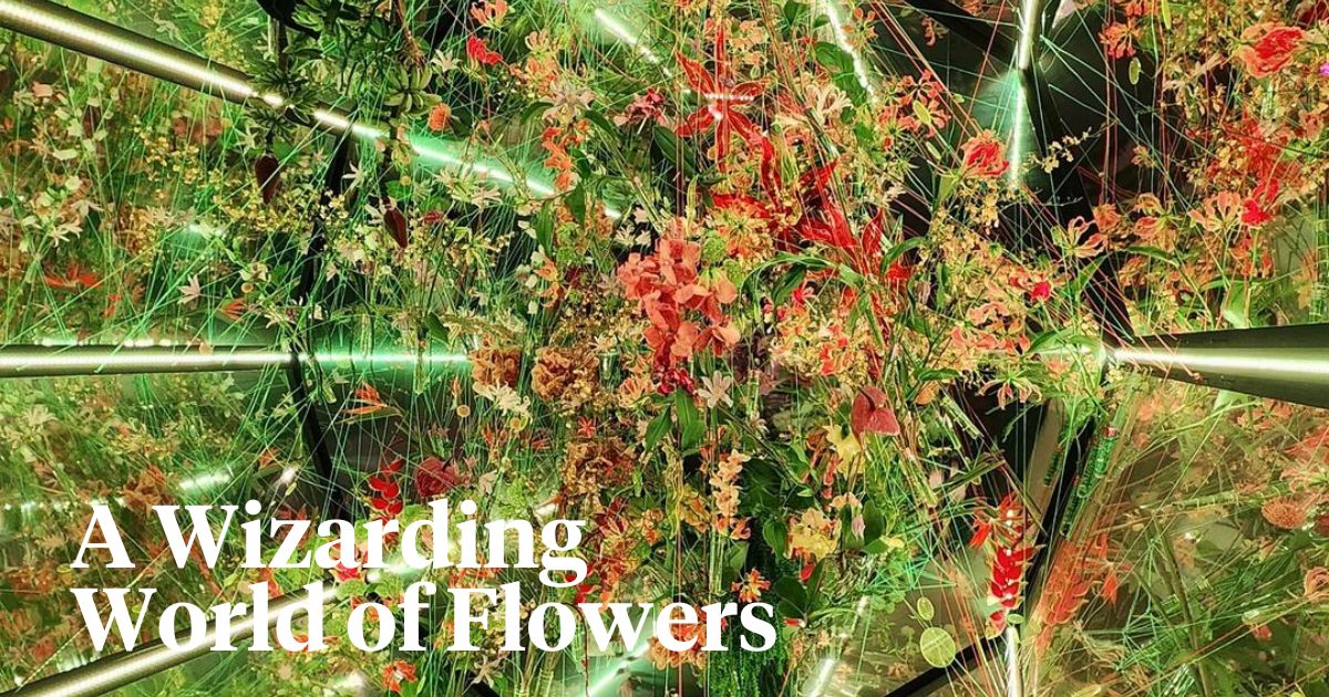 PHS wizarding world of flowers