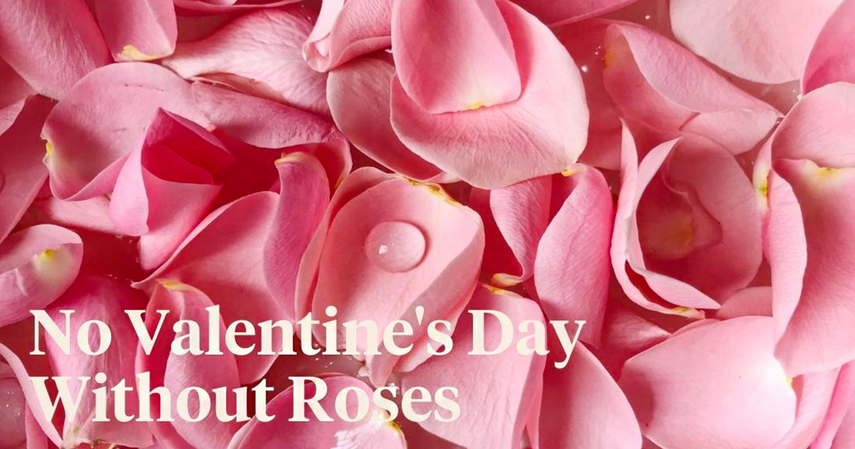 Decofresh Roses Valentine header on Thursd