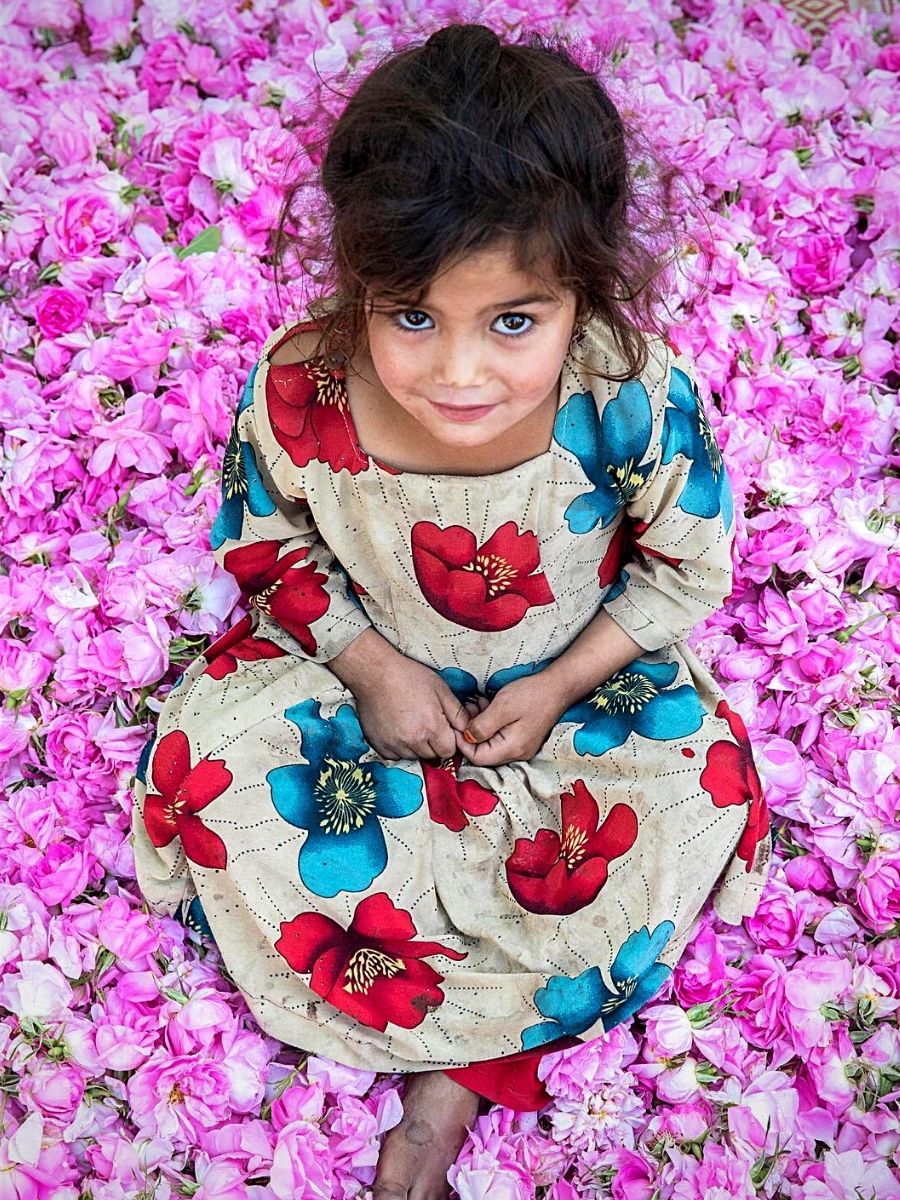 Oriane Zerah’s Photography Captures Afghanistan’s Floral Beauty