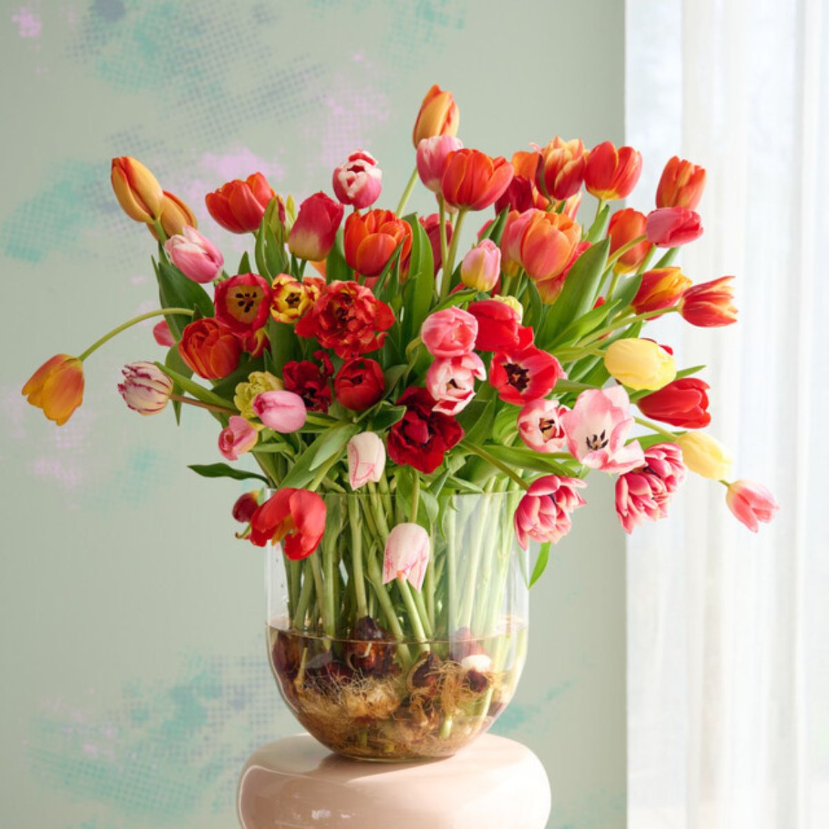 Colorful tulips for Valentines Day by Kapiteyn