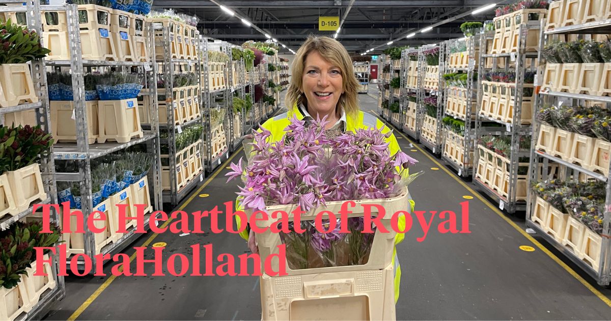 Linda de Ruiter Royal FloraHolland